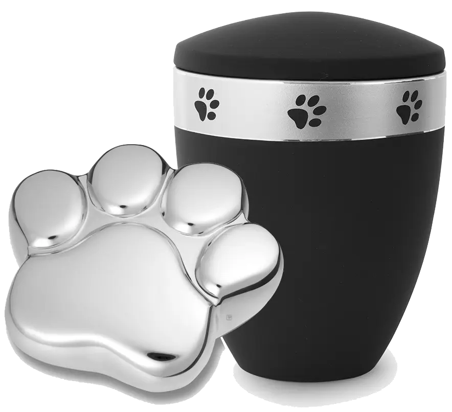 Weevet, vétérinaire à domicile, euthanasie, crémation, accompagnement fin de vie des animaux sur Hélécine, Orp-Jauche, Jodoigne, Hannut